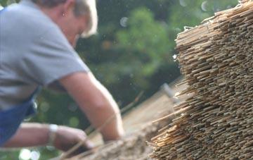 professional Dole thatchers